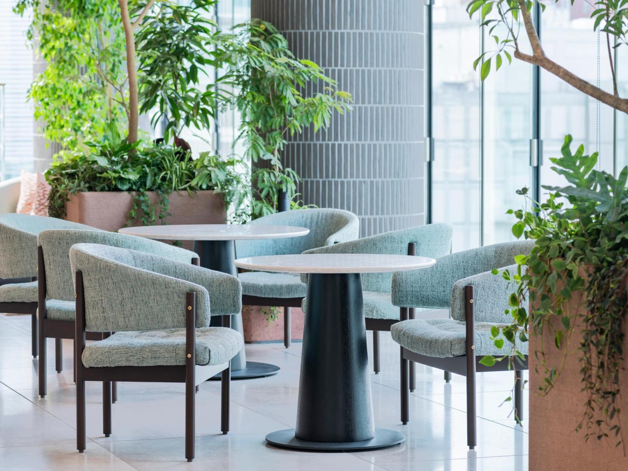 Mitsui Garden - Reopening On June 14